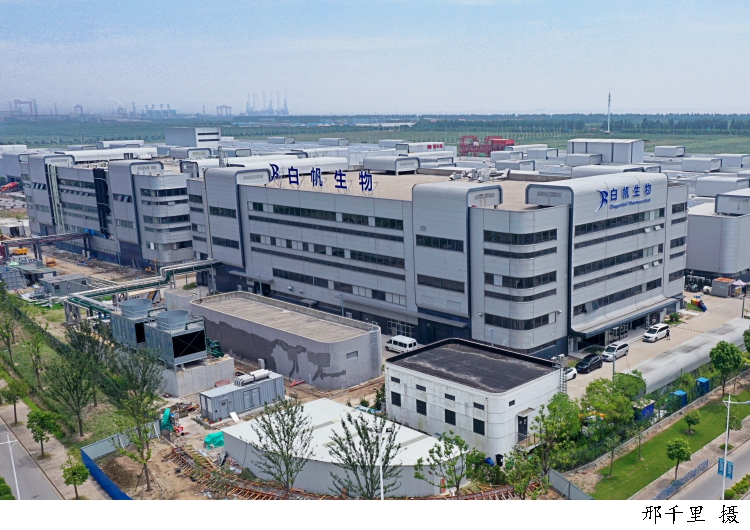 國內首個無交叉抗體工廠在臨港投產 高端單抗藥物邁入規模化生產新紀元